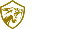 Esports Indonesia